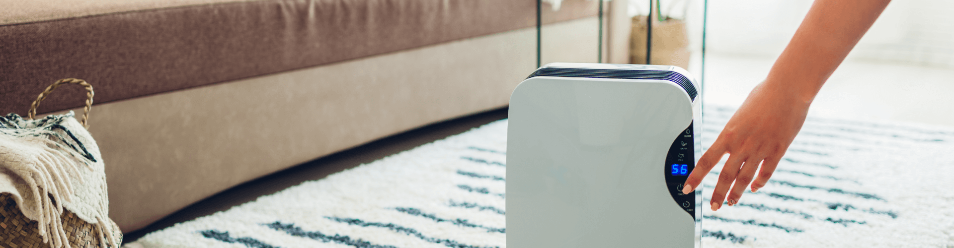 The 6 Reasons You Need A Dehumidifier Today